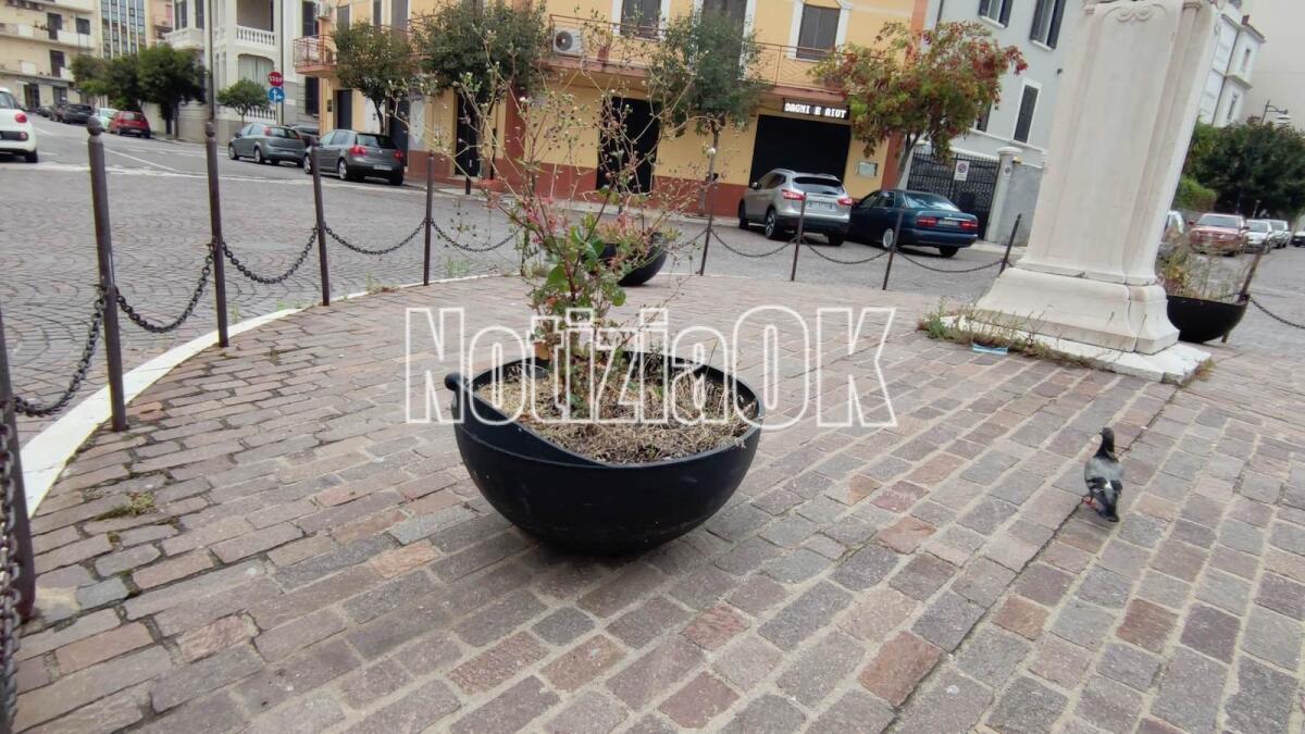 Nei quartieri di Crotone: a Corso Messina c'è una rotonda sempre in fiore - 