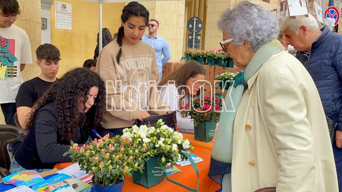 Crotone - Un'azalea per la ricerca in Piazza Pitagora: dalle donne per le donne - 