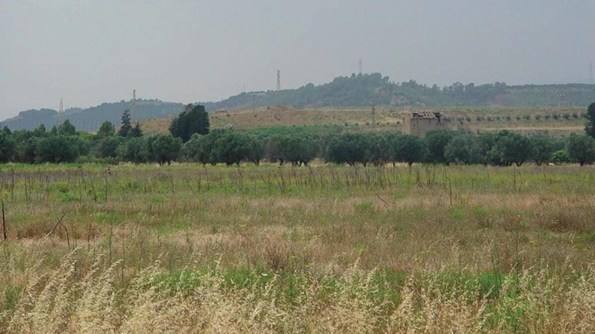 Bonifica Sin Crotone, Rapani: «Riscattare migliaia di ettari significa occupazione, riutilizzo, sviluppo» - 