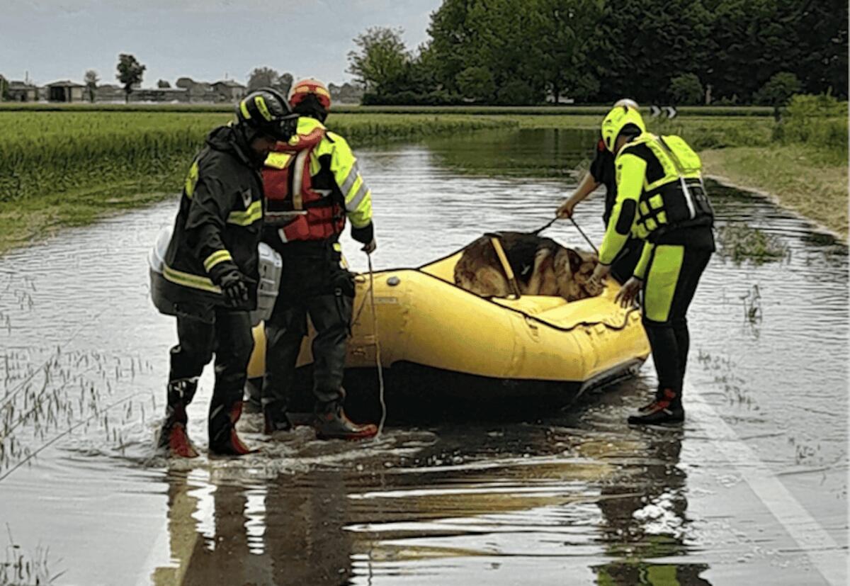 Emergenza in Emilia-Romagna, al lavoro anche personale di Crotone - 