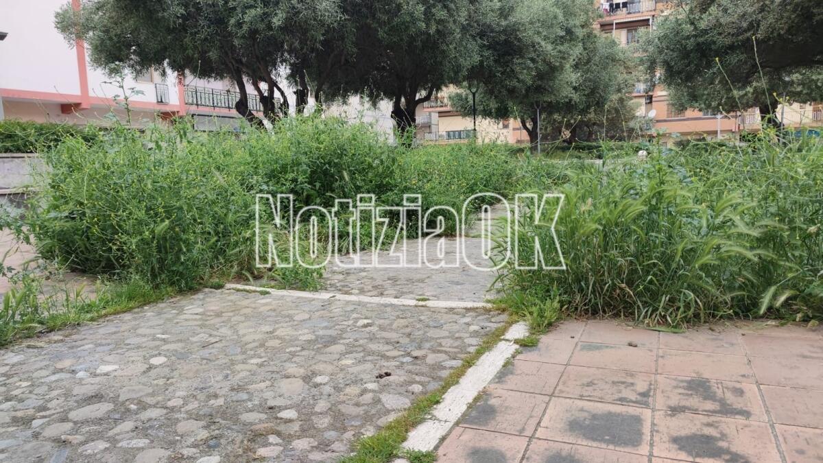 Nei quartieri di Crotone: Piazza Alcide de Gasperi, una jungla in città - 