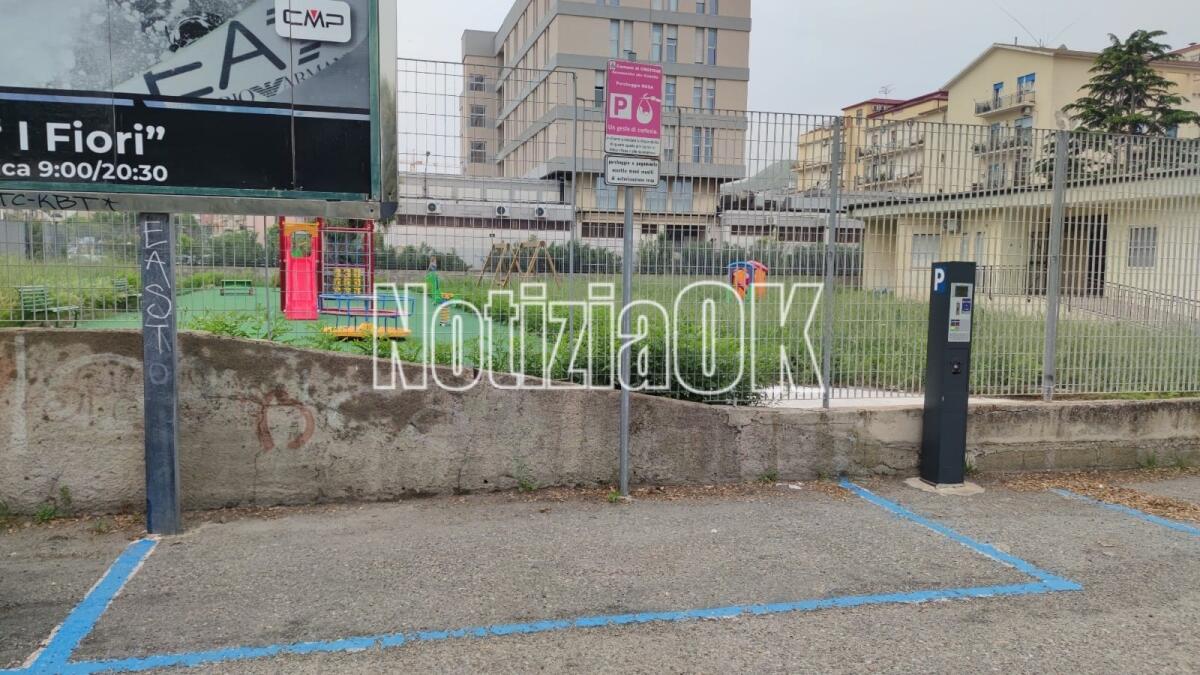 Nei quartieri di Crotone: il parcheggio è rosa ma le strisce sono blu - 