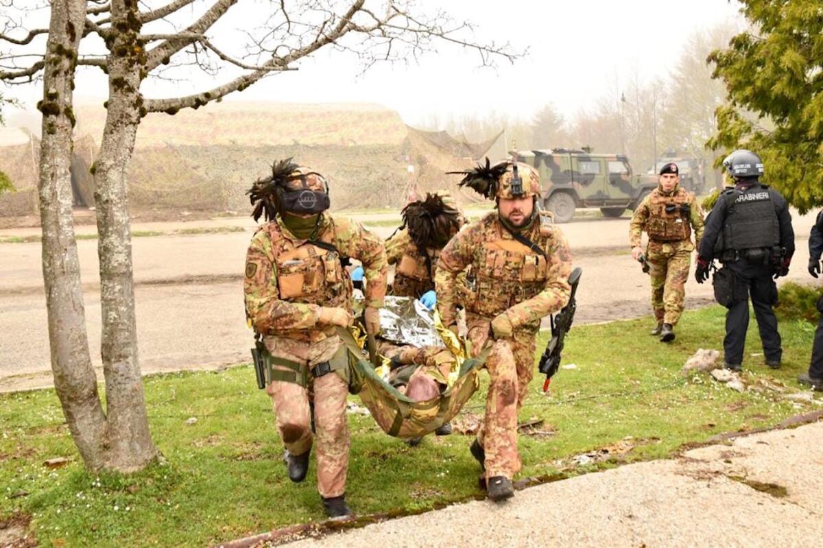 In Calabria un esercitazione congiunta fra Esercito e Carabinieri con "Summitas" - 