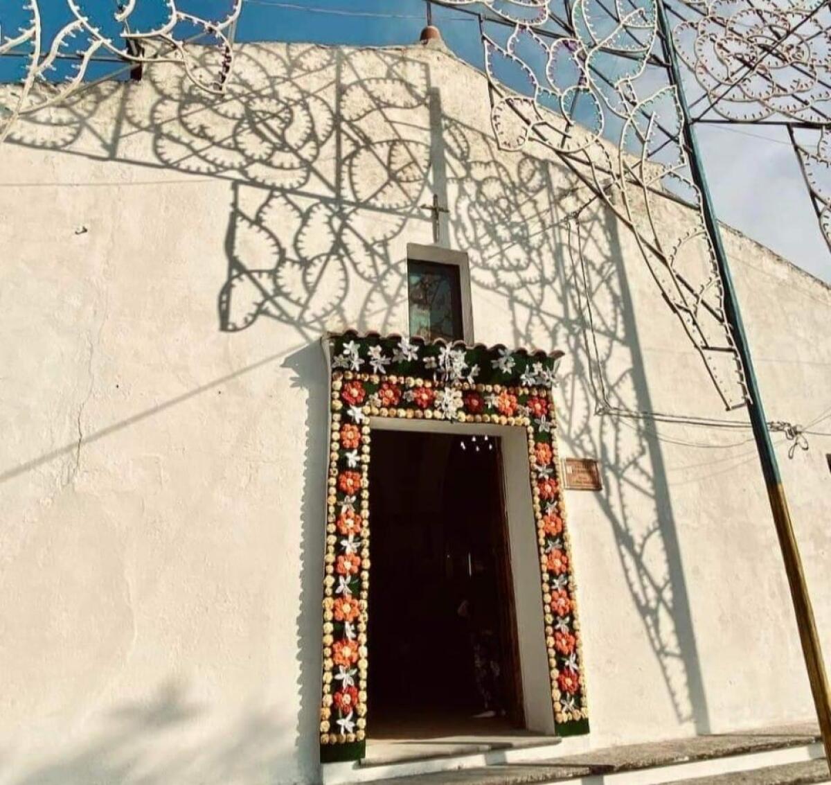 A Carfizzi i gigli dedicati a Sant'Antonio - 