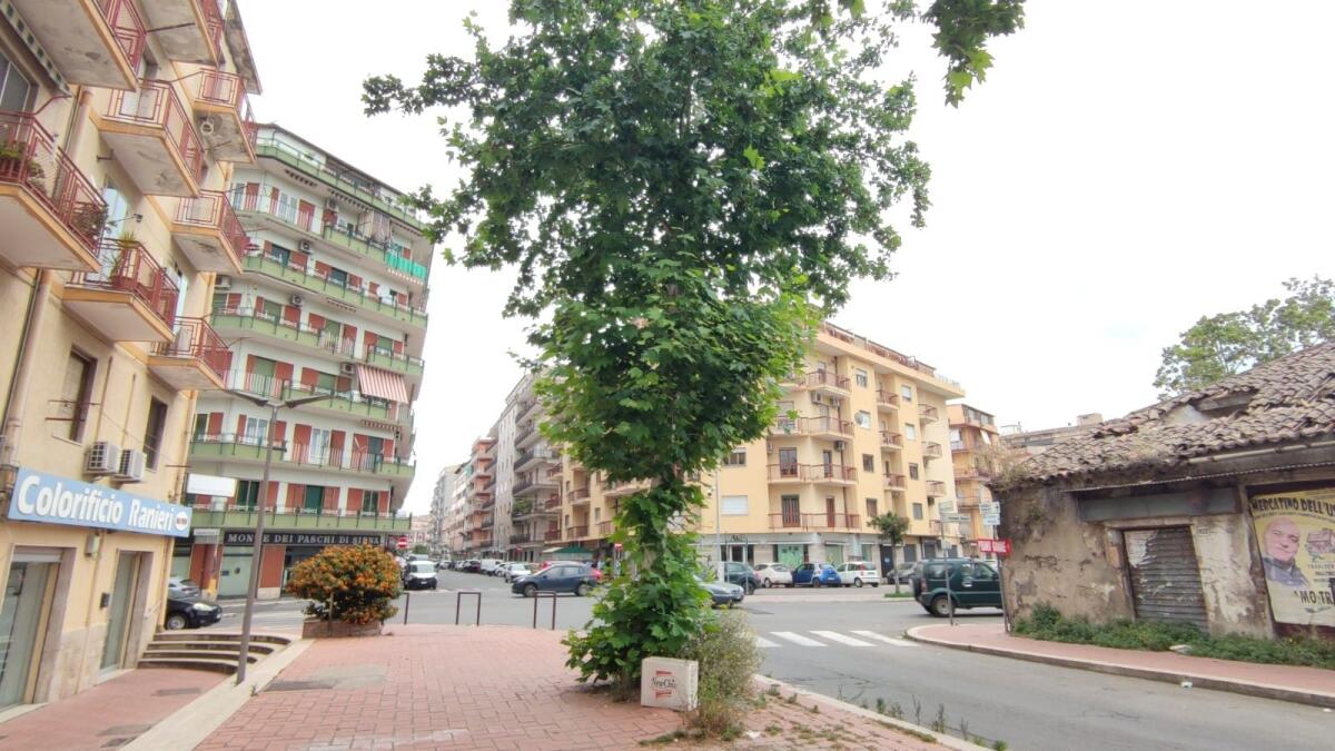 Nei quartieri di Crotone: una città ricca di verde pubblico - 