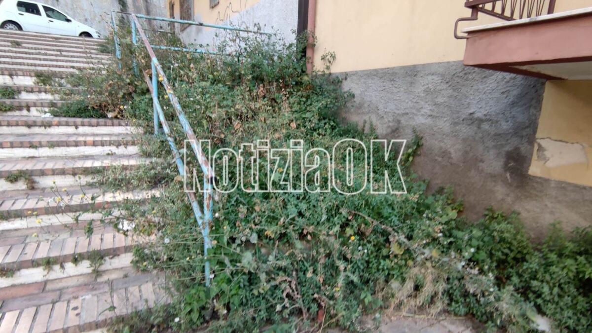 Nei quartieri di Crotone: l'erba c'è, ma sempre sulle scale - 