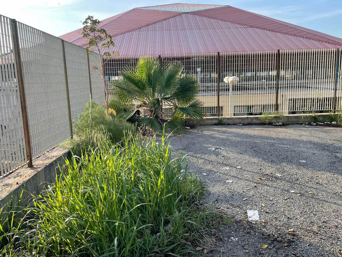 Nei quartieri di Crotone: in città c'è poco spazio per il decoro - 
