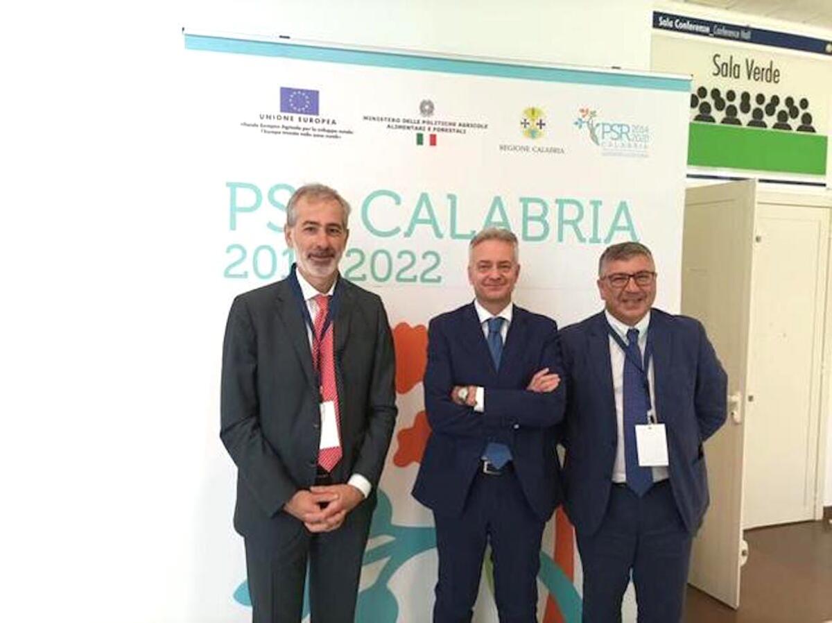 Comitato di Sorveglianza PSR Calabria 2014-2022 - Gallo: "Opportunità per i giovani" - 