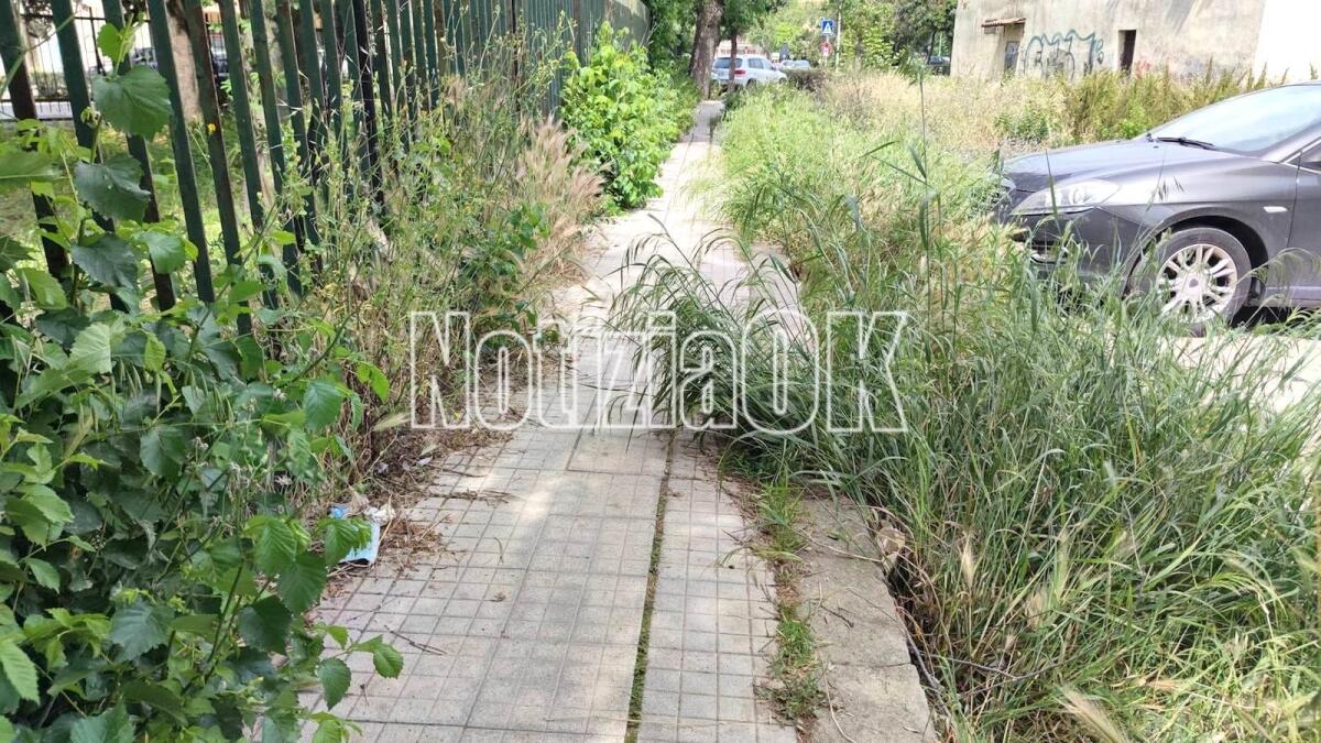 Nei quartieri di Crotone: marciapiedi, immersione verde con tanta speranza - 