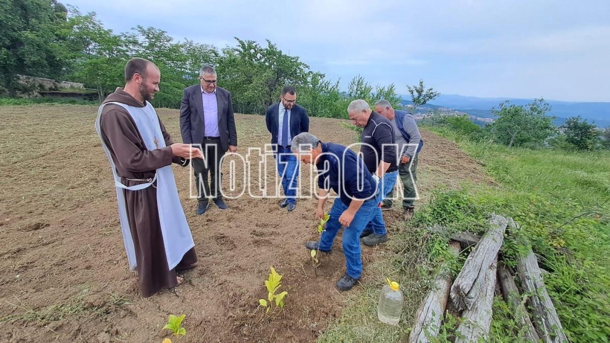 Petilia Policastro, piantumati gli alberi donati da Azienda Calabria Verde - 