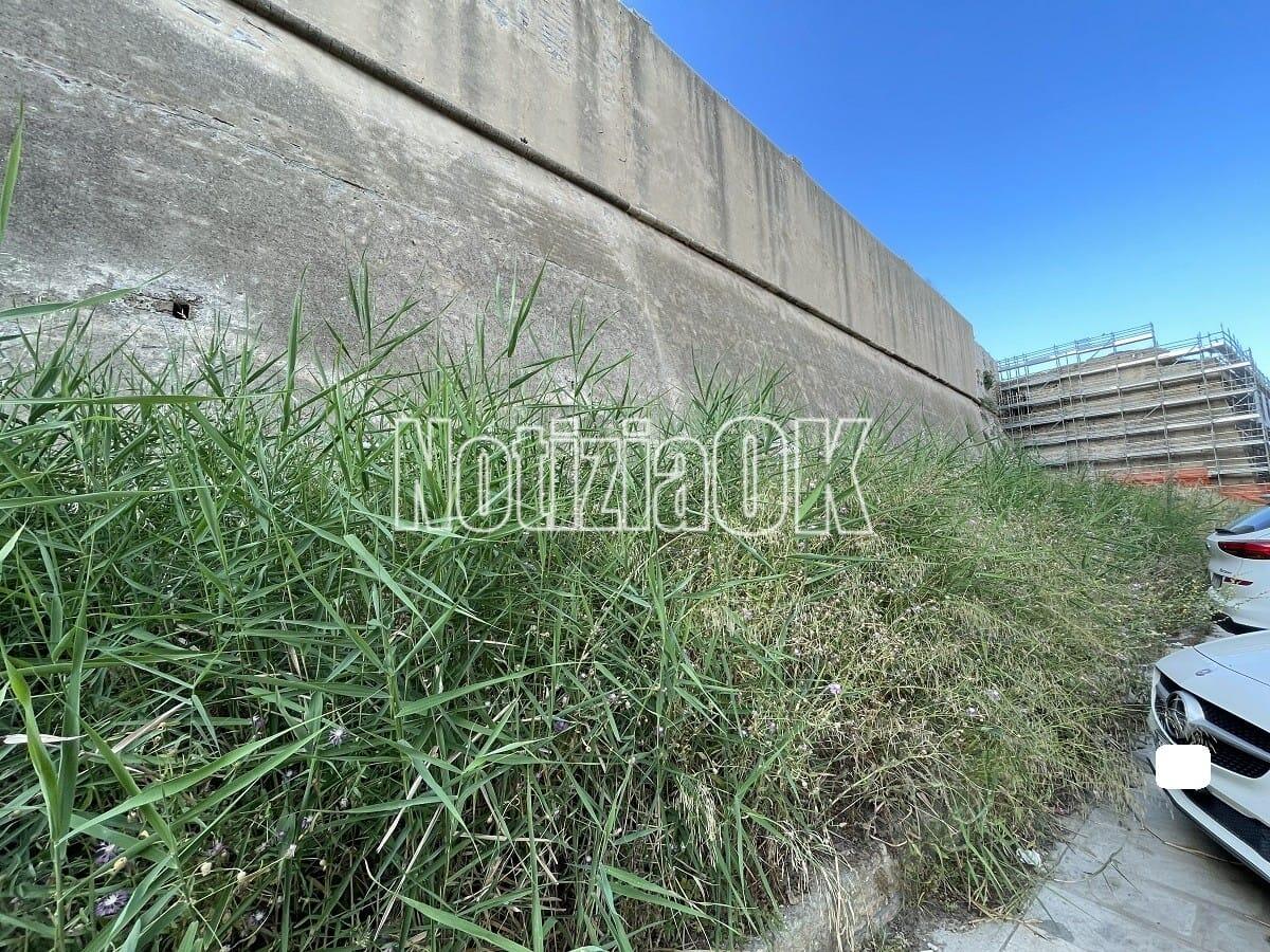 Crotone - Una foresta con vista Castello - 