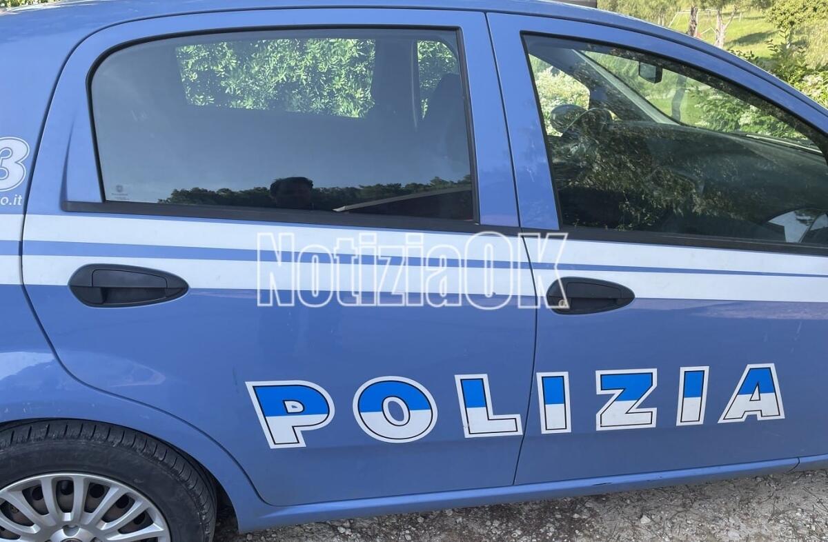 Crotone, droga e armi occultati nei cespugli a Trafinello: in carcere un 37enne - 