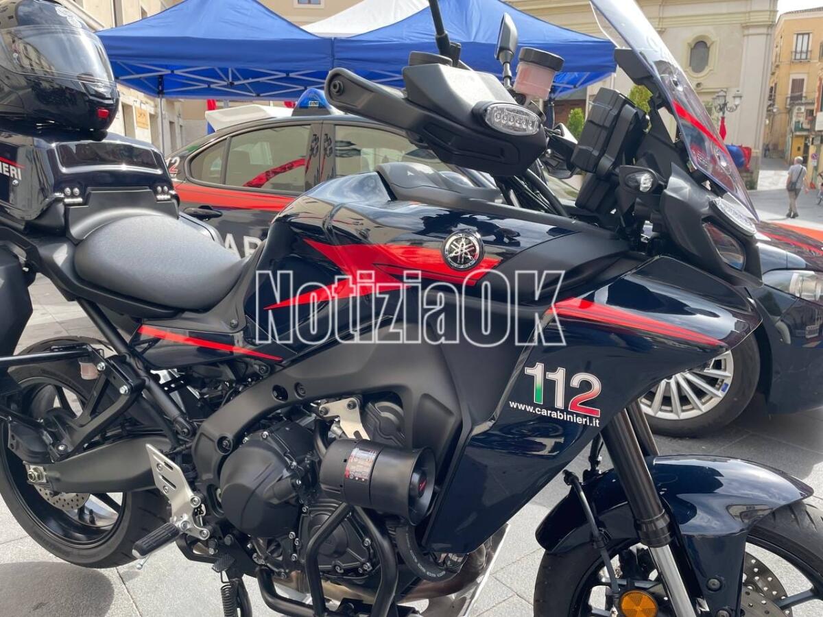 Calabria - Prostituzione in pieno centro cittadino, un arresto - 