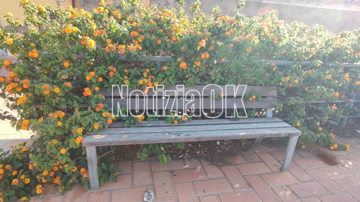 Nei quartieri di Crotone: panchine immerse nel verde e inutilizzabili - 
