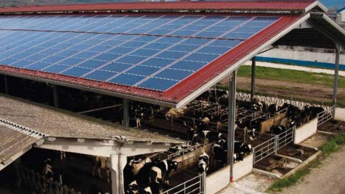 Coldiretti Calabria - Ok a pannelli fotovoltaici su stalle e case rurali - 