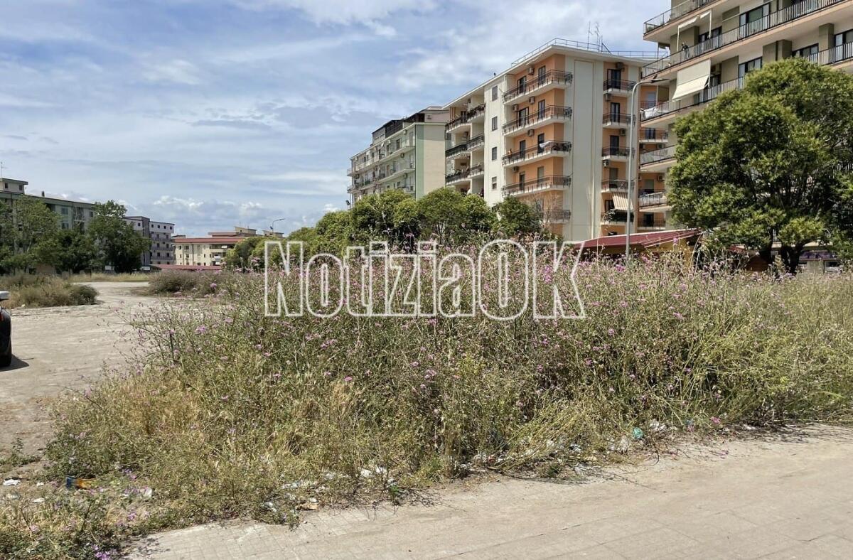 Crotone, degrado e incuria in via Ugo Foscolo: il Comitato di quartiere chiede pulizia e decoro - 