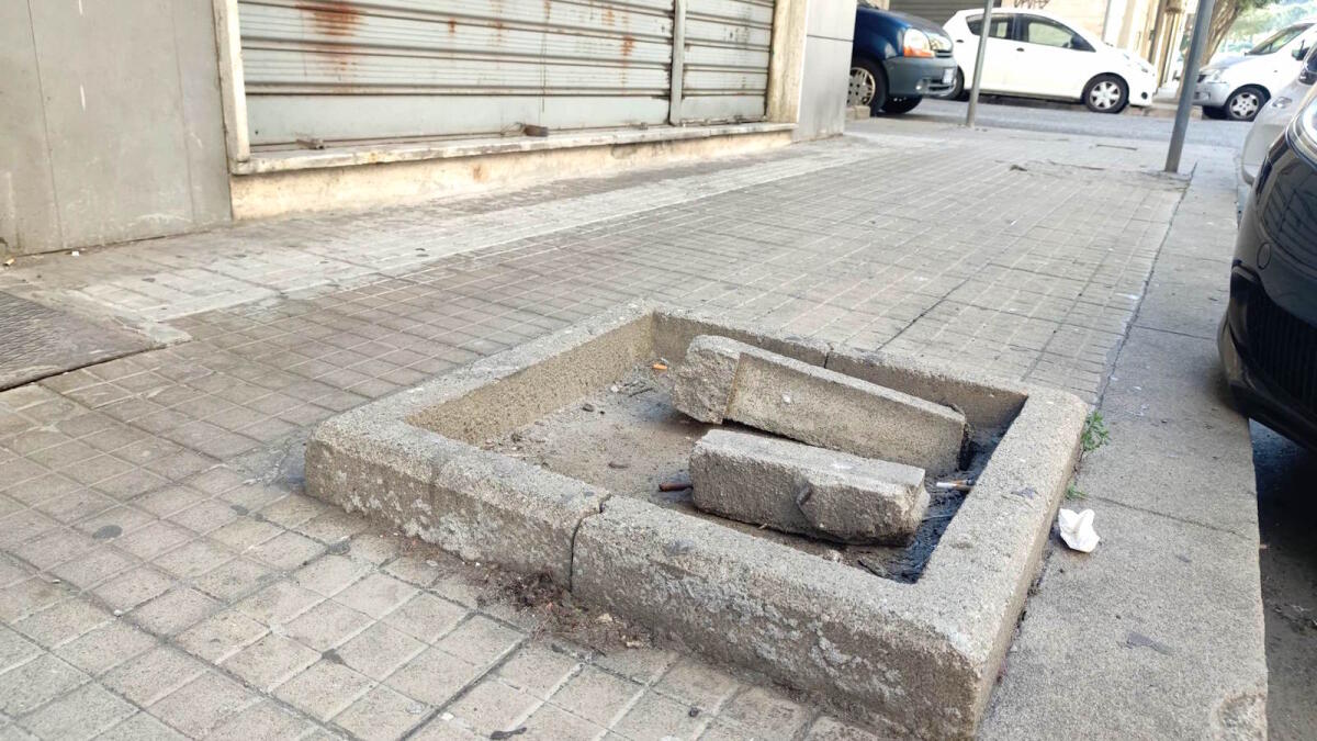 Nei quartieri di Crotone: Via Panella, lo spazio ci sarebbe... ma gli alberi? - 