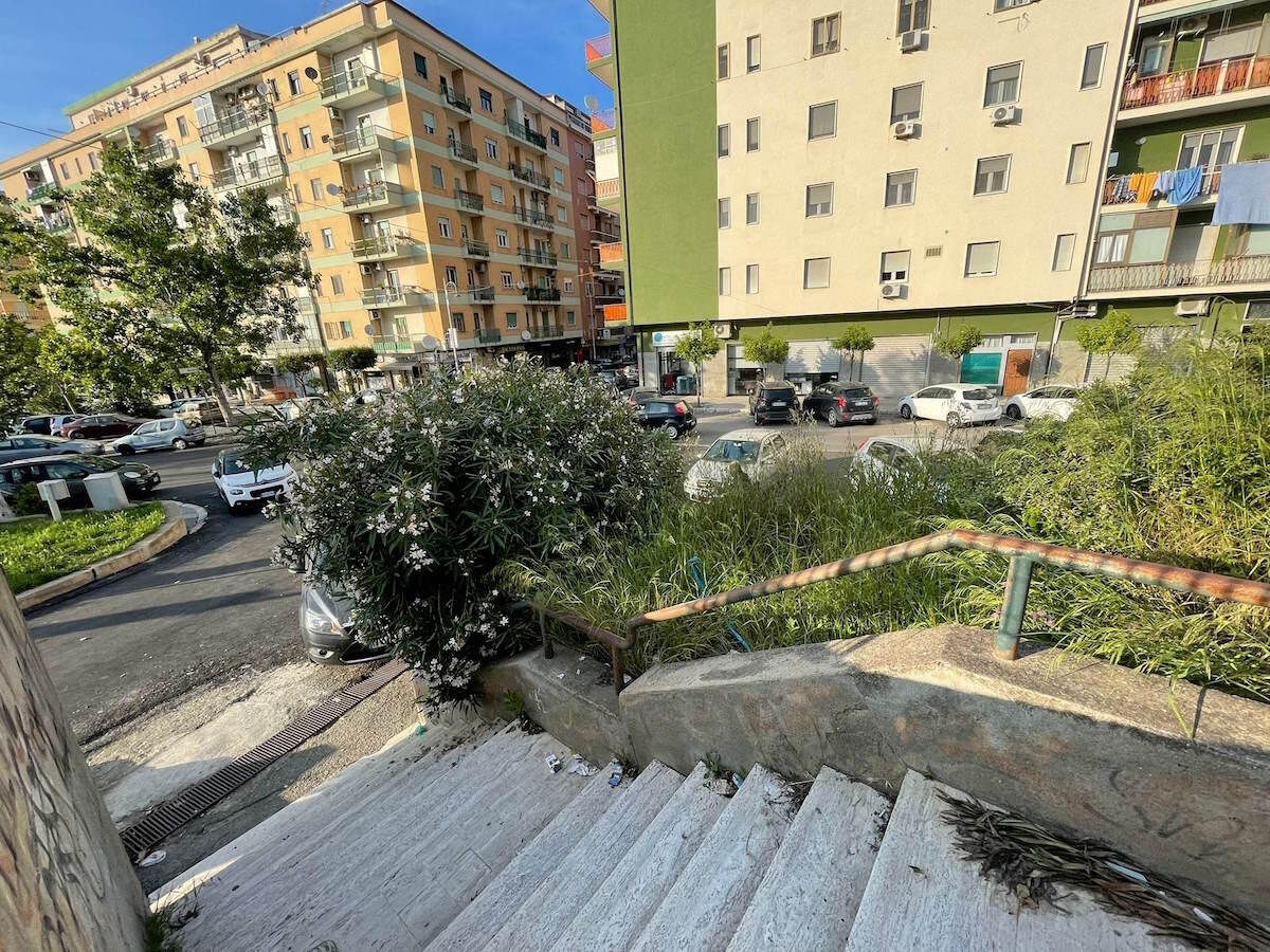 Nei quartieri di Crotone: in città c'è un passaggio naturalistico con vista sulla storia - 