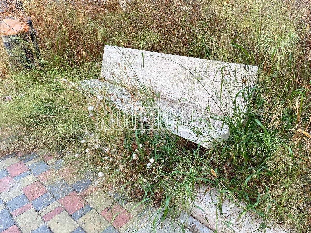 Allarme erba alta a Crotone: in via San Francesco il verde nasconde le panchine - 