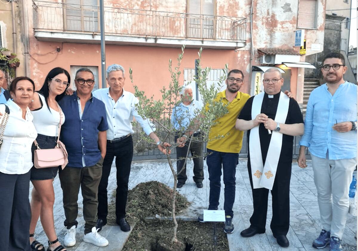 Cirò, in Piazza Mavilia un albero di ulivo in ricordo di Massimo Papaianni - 