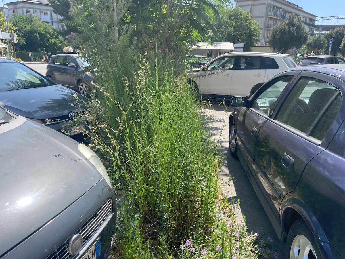Nei quartieri di Crotone: fontana a secco ma il verde no... -