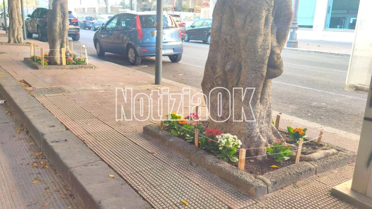 Crotone, l'amore dei cittadini sboccia in via Poggioreale - 