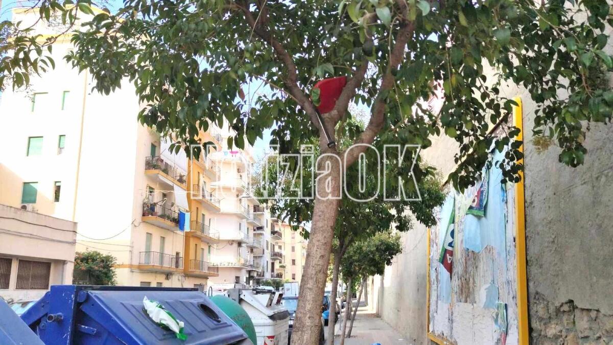 Nei quartieri di Crotone: strani avvistamenti lungo Corso Messina - 