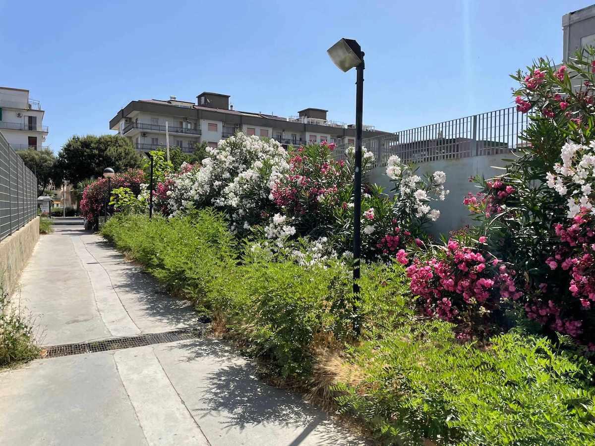 Nei quartieri di Crotone: una città sempre più... al verde - 