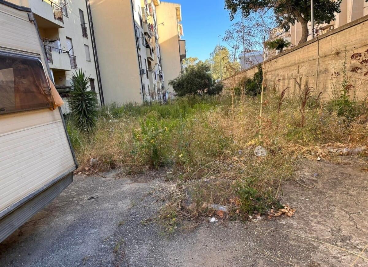 Nei quartieri di Crotone: a Vescovatello proliferano erba e zanzare - 