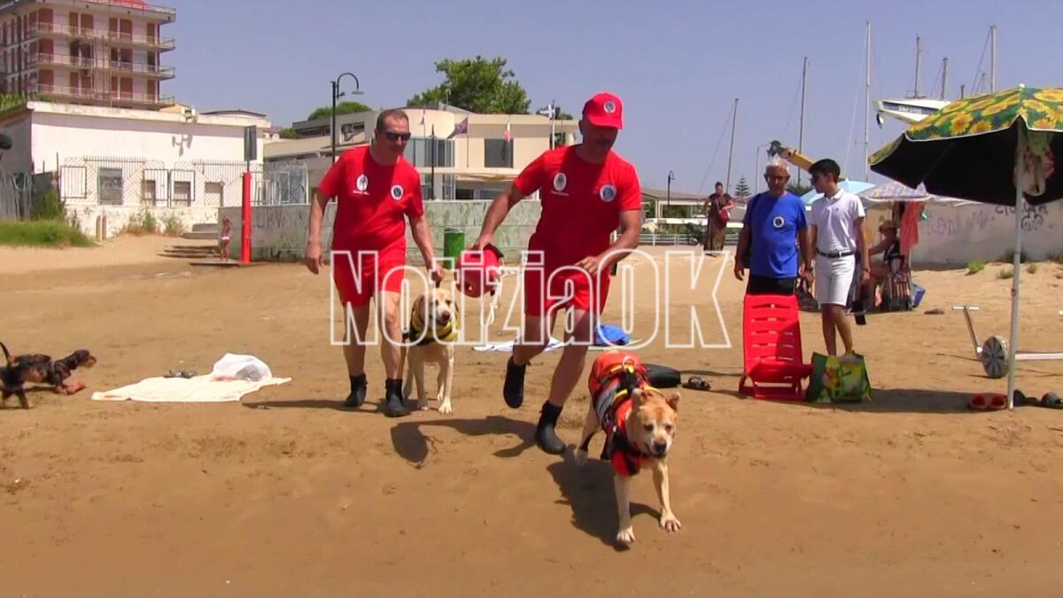 Crotone - Con Brus e Mio le spiagge sono più sicure - 