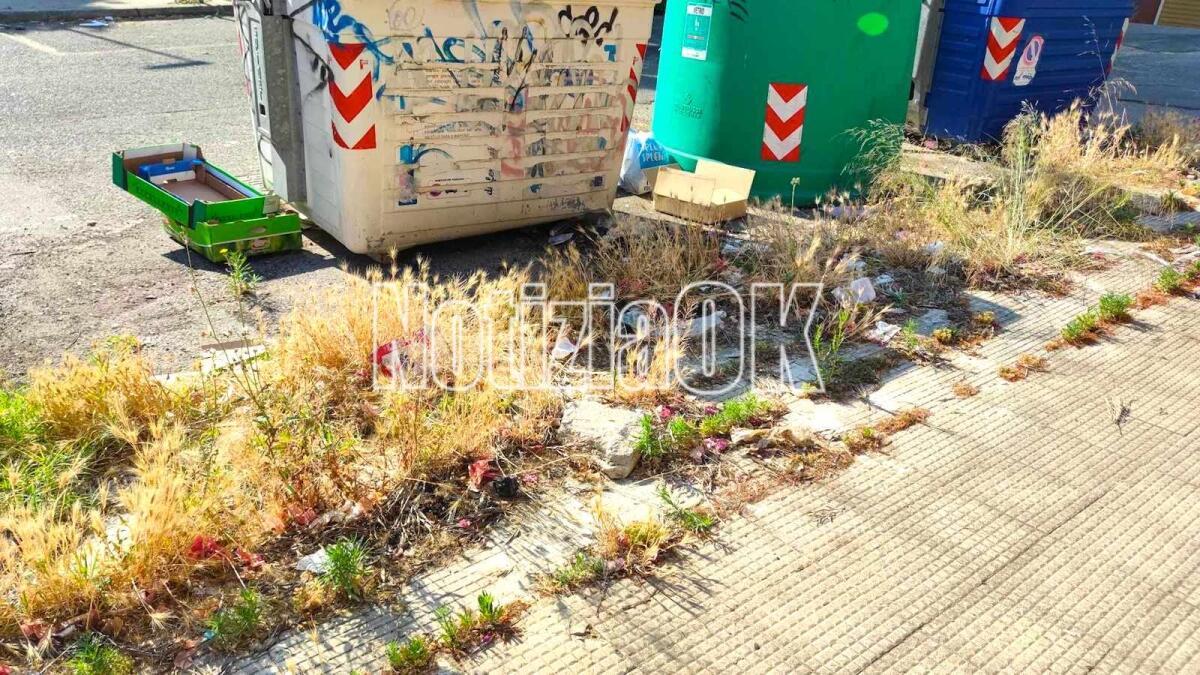 Nei quartieri di Crotone: il decoro si è fermato in via Venezia - 