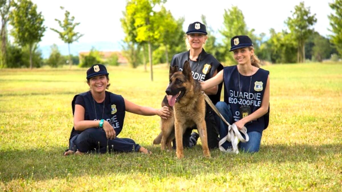 Calabria - Aperte le iscrizioni al corso gratuito per Guardia Zoofile Oipa - 