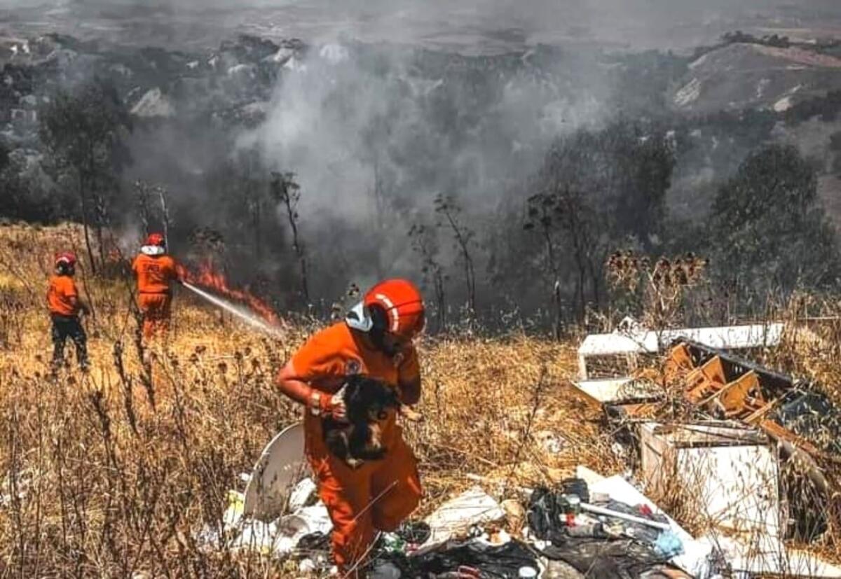 Isola di Capo Rizzuto, incendi nel territorio appiccati dalla mano dell'uomo - 