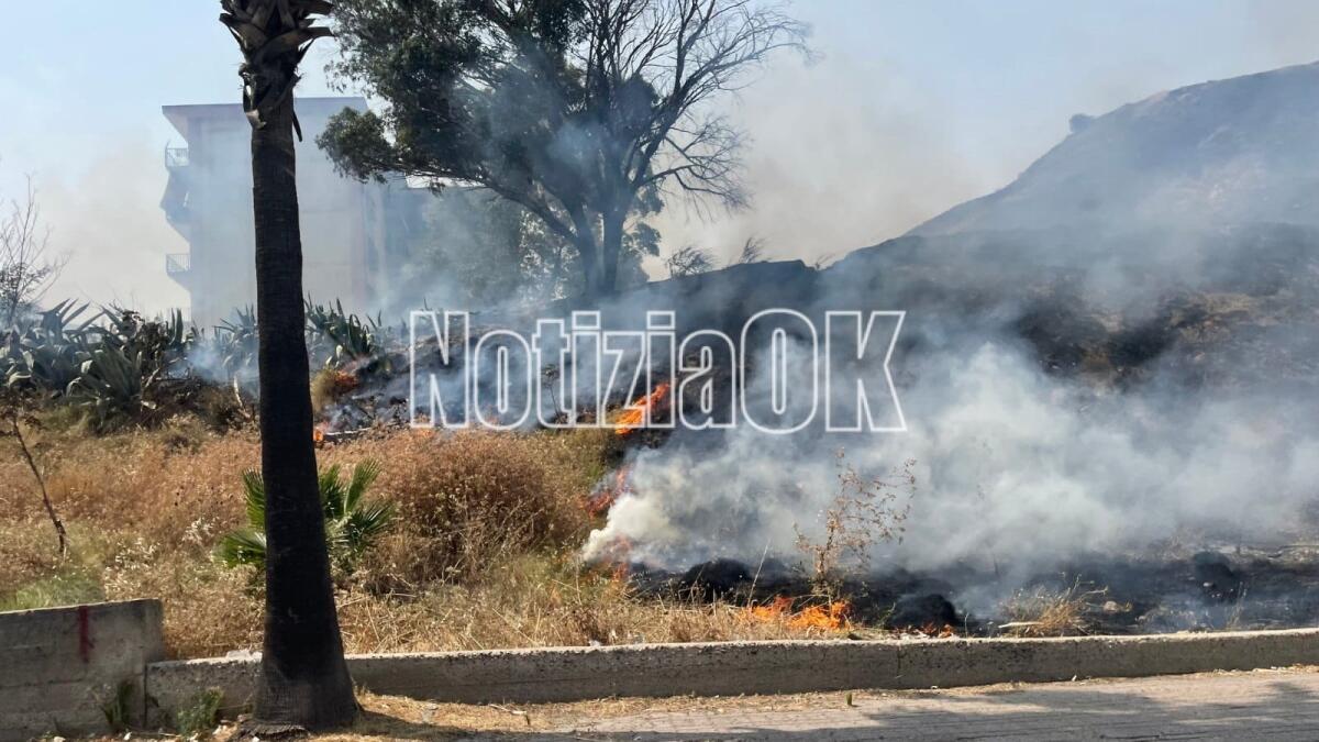 Crotone - Incendio a Parco Pignera, Vazzano: «Gli incendiari hanno il volto del denaro» - 
