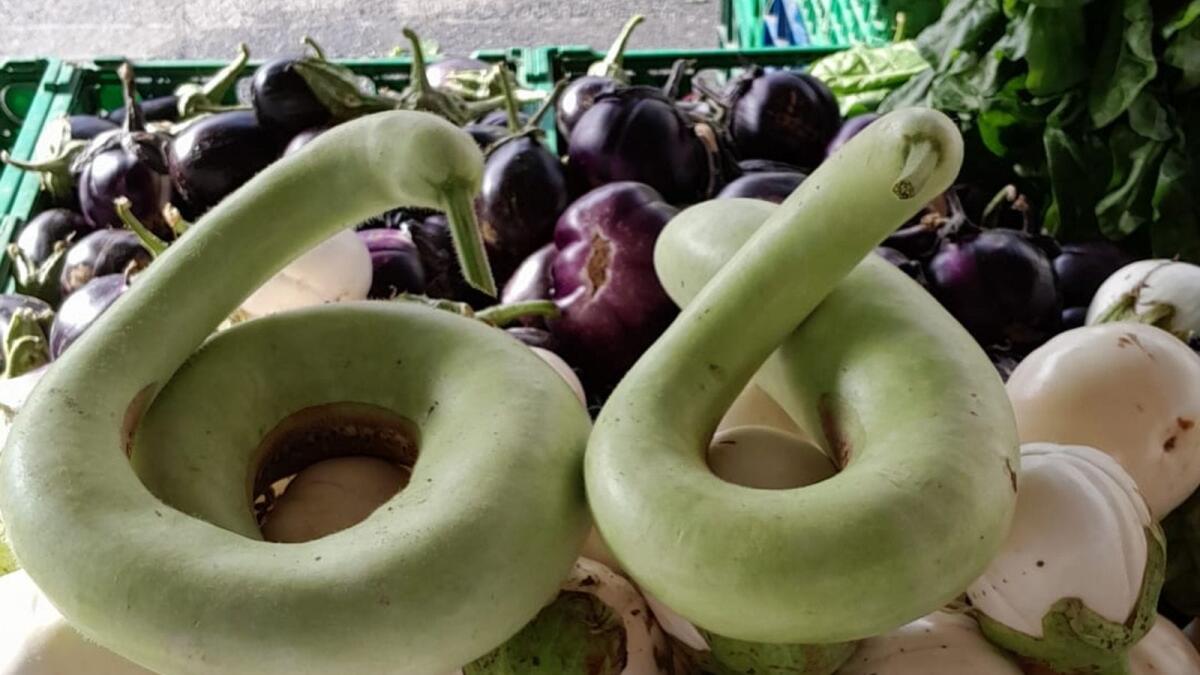 Crotone - Il Farmer’s Market: "Lavorando in campagna per stupire in città" - 