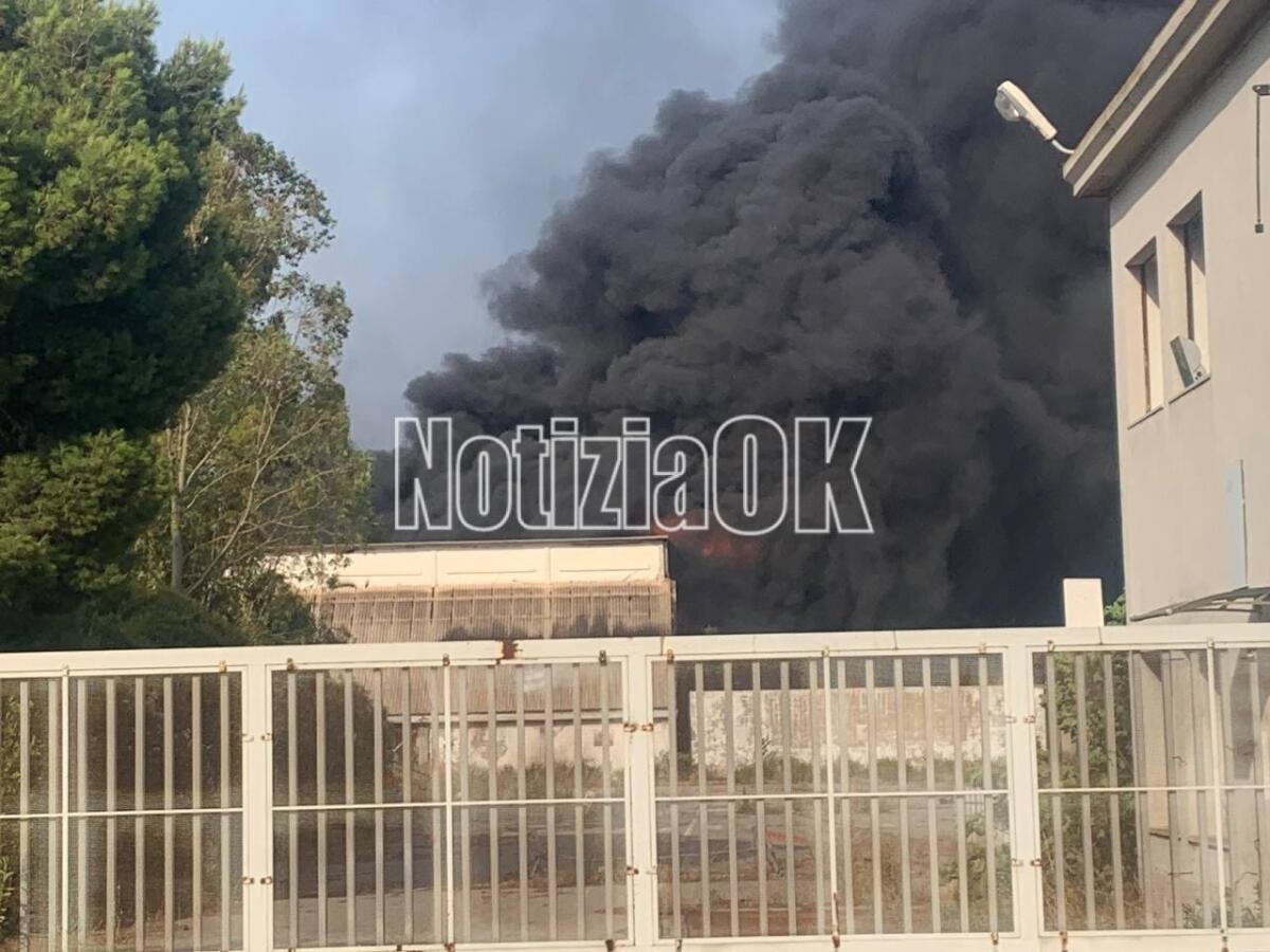 Incendi a Crotone, il PD: "Fare chiarezza su quanto accaduto e su cosa abbiamo respirato" - 