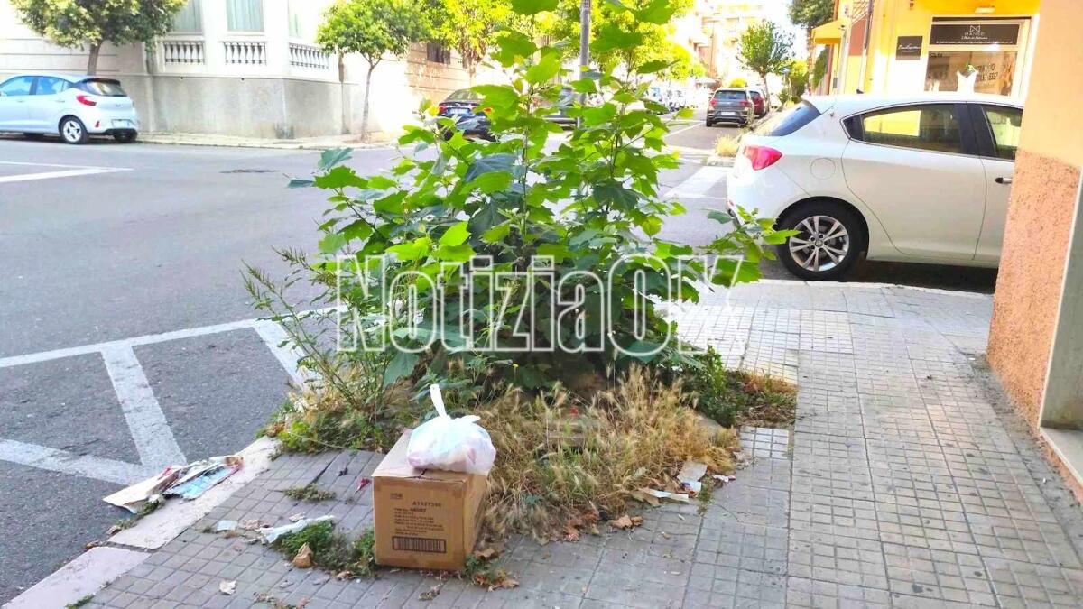 Nei quartieri di Crotone: lungo via Reggio c'e qualcosa che non va - 