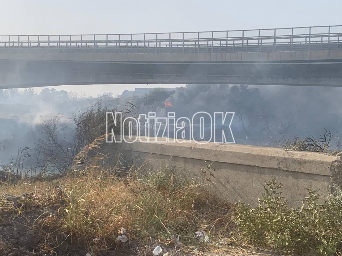 Incendi a Crotone, Sestito (Arci): «Trasparenza sui dati della qualità dell’aria» - 