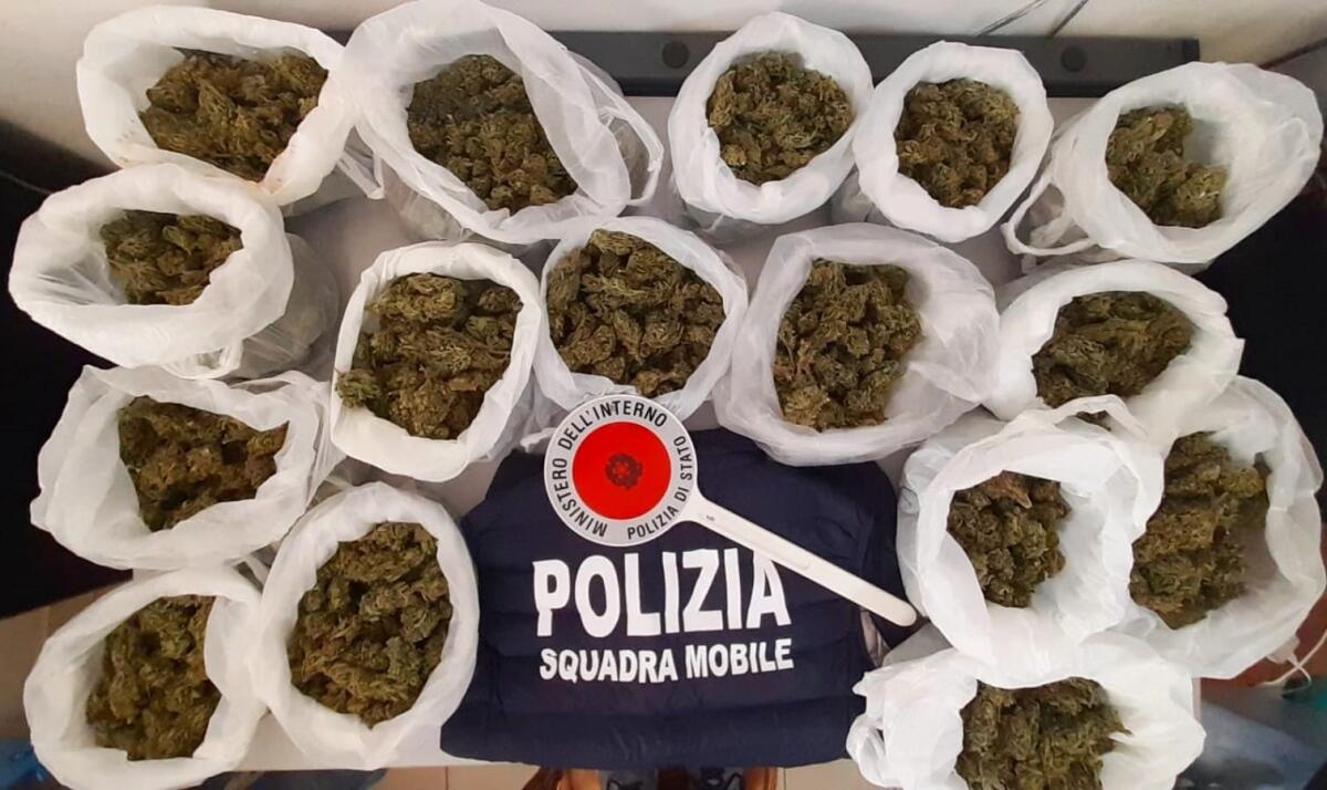 Crotone, droga nel centro storico: nuovo sequestro - 
