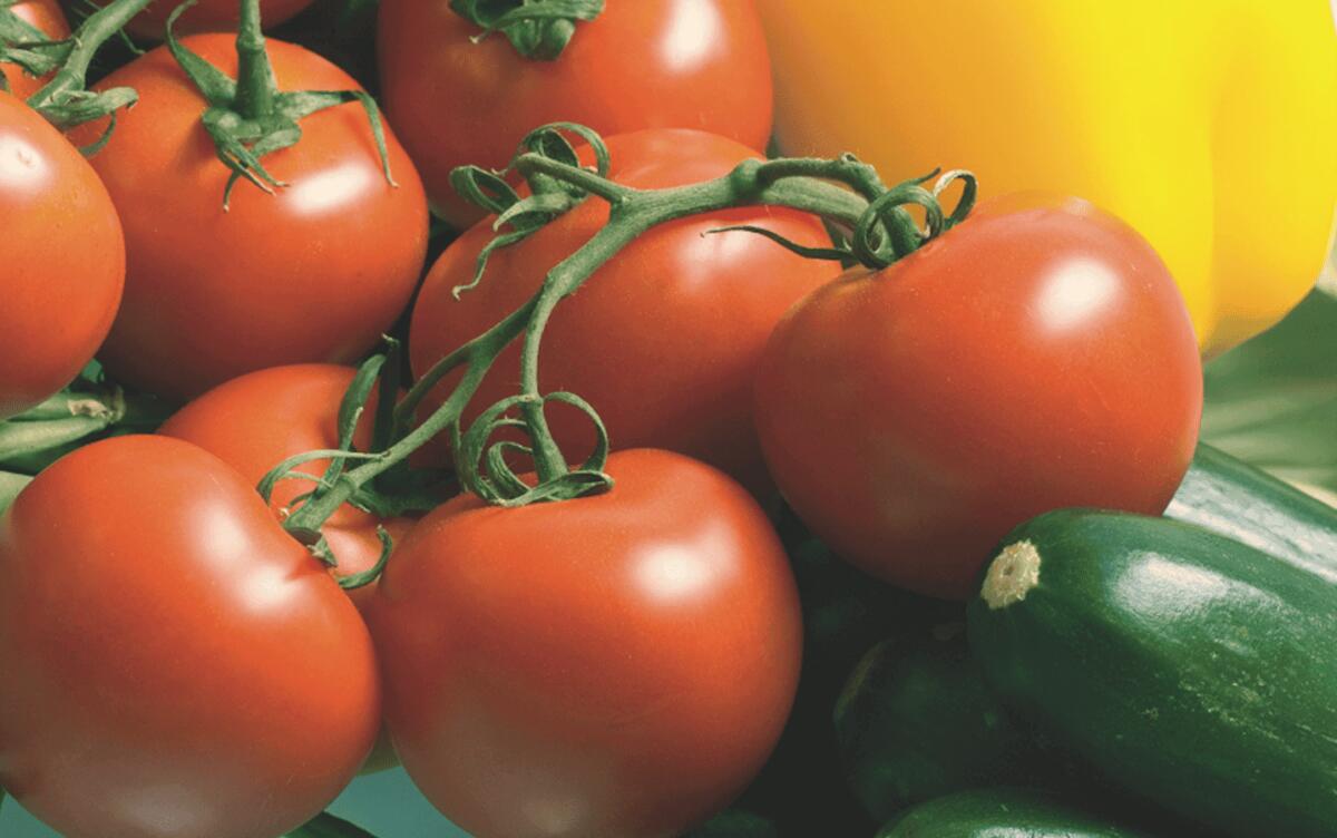 Caldo: al via la raccolta della pummarola Made in Italy - 