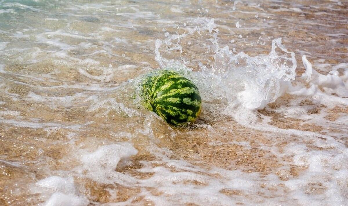 Ferragosto e la tradizione dell'anguria fresca.... in acqua!  - Foto: Redazione