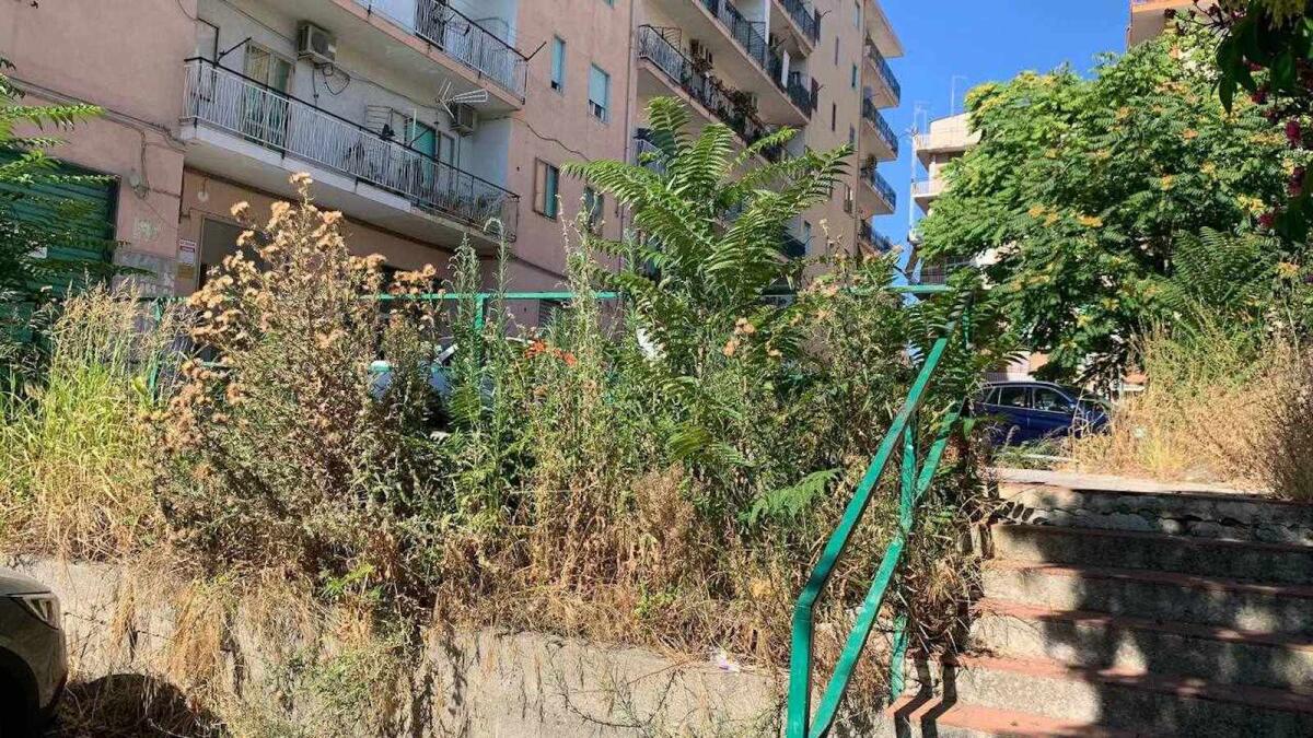 Nei quartieri di Crotone: in via Giuseppe di Vittorio è nata una jungla - 