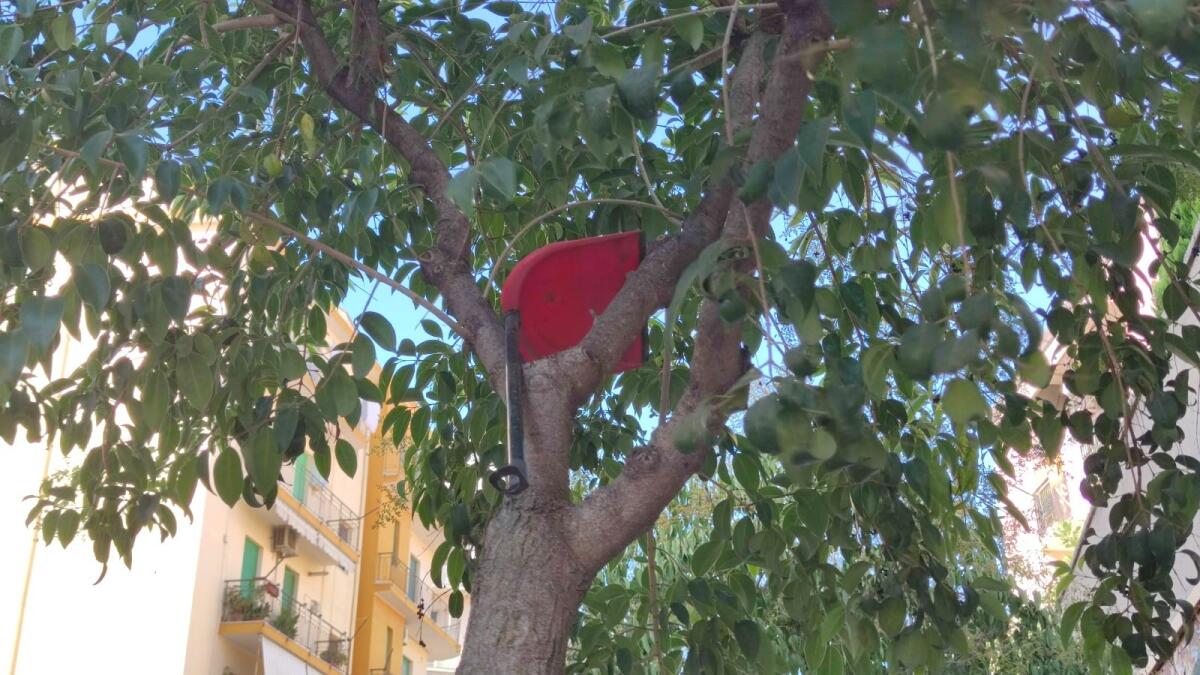 Nei quartieri di Crotone: Corso Messina, ed io sono ancora qua...e già! - 