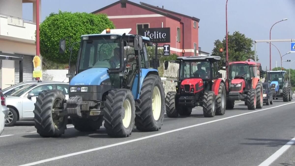 Emergenza cinghiali: sit in degli agricoltori a Melissa - 