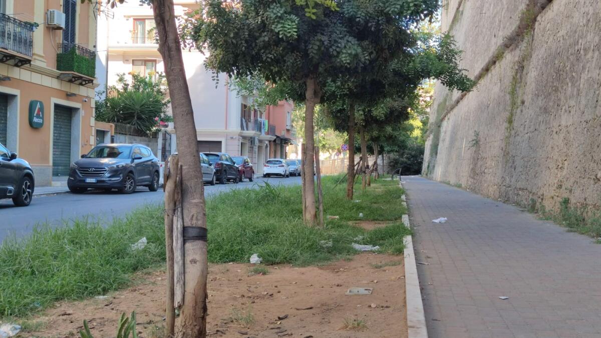 Nei quartieri di Crotone: via Tellini, area spenta e poco accogliente - 