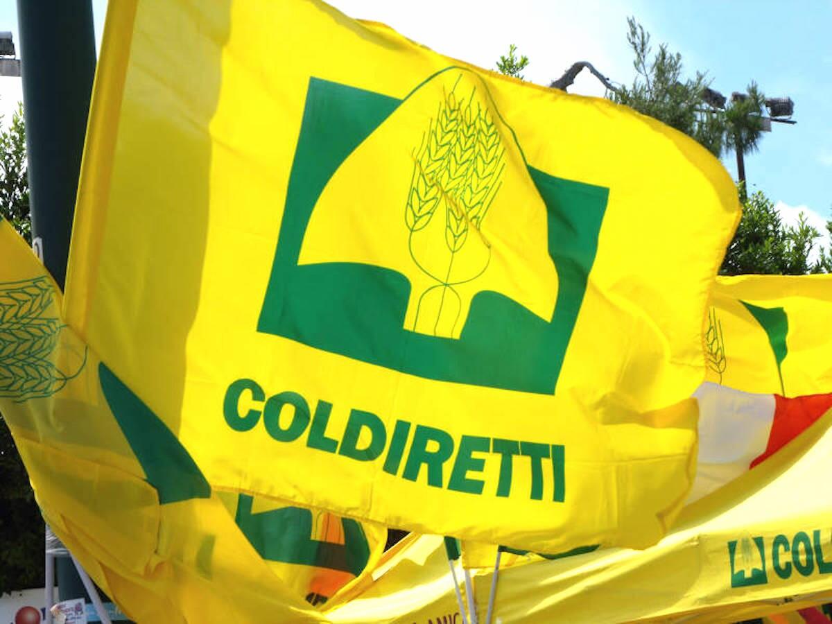 Mariafrancesca Serra nuova leader delle donne Coldiretti - 