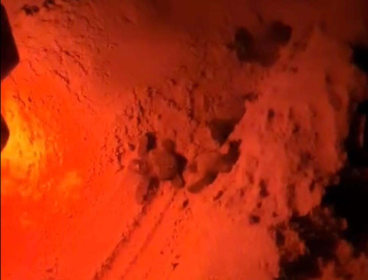 (VIDEO) Giovani di Isola di Capo Rizzuto mettono in salvo nidi di Caretta Caretta - 