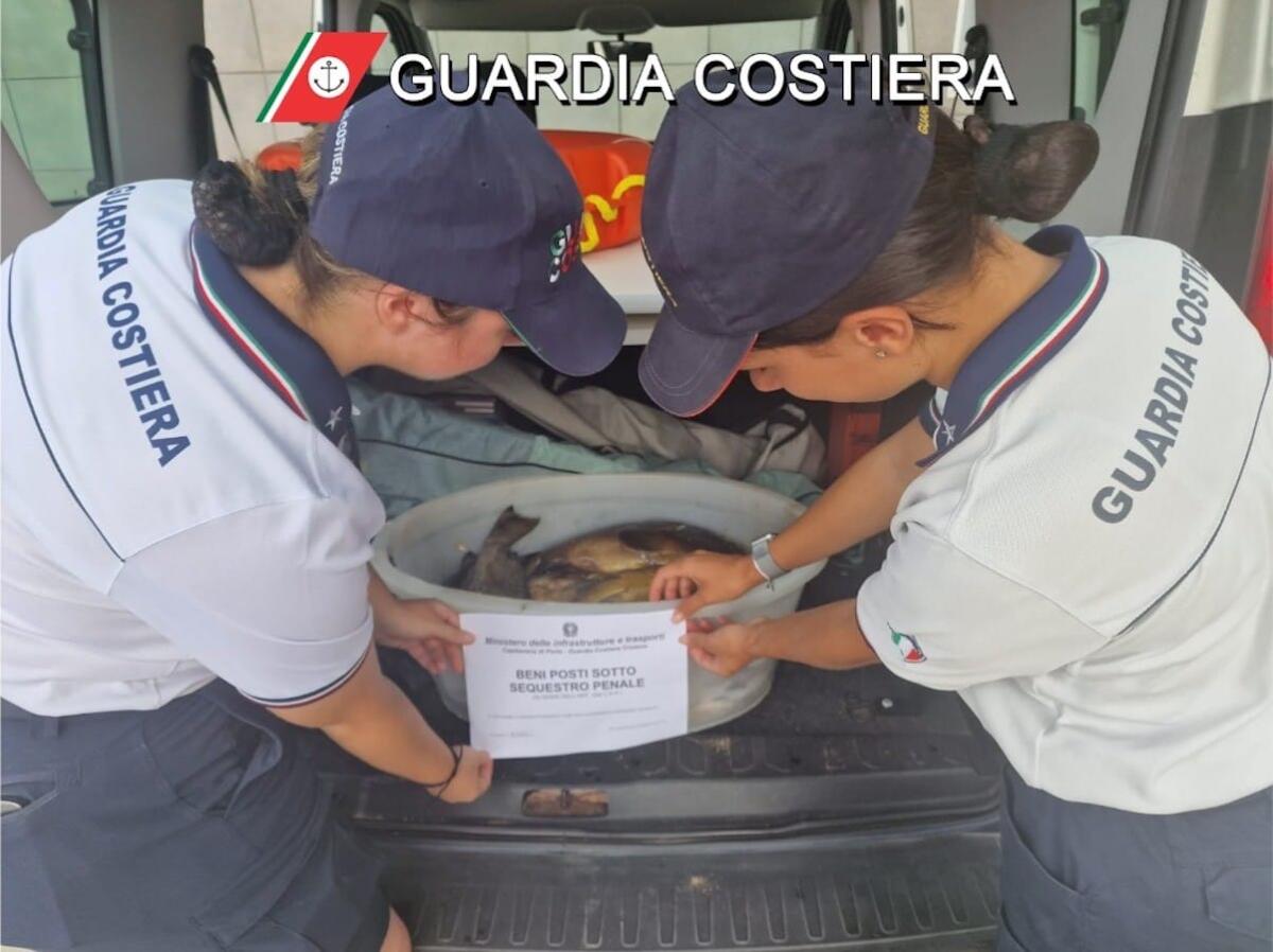 Isola di Capo Rizzuto, contrasto alla pesca di frodo: due uomini fermati con 27 kg di pesce - 