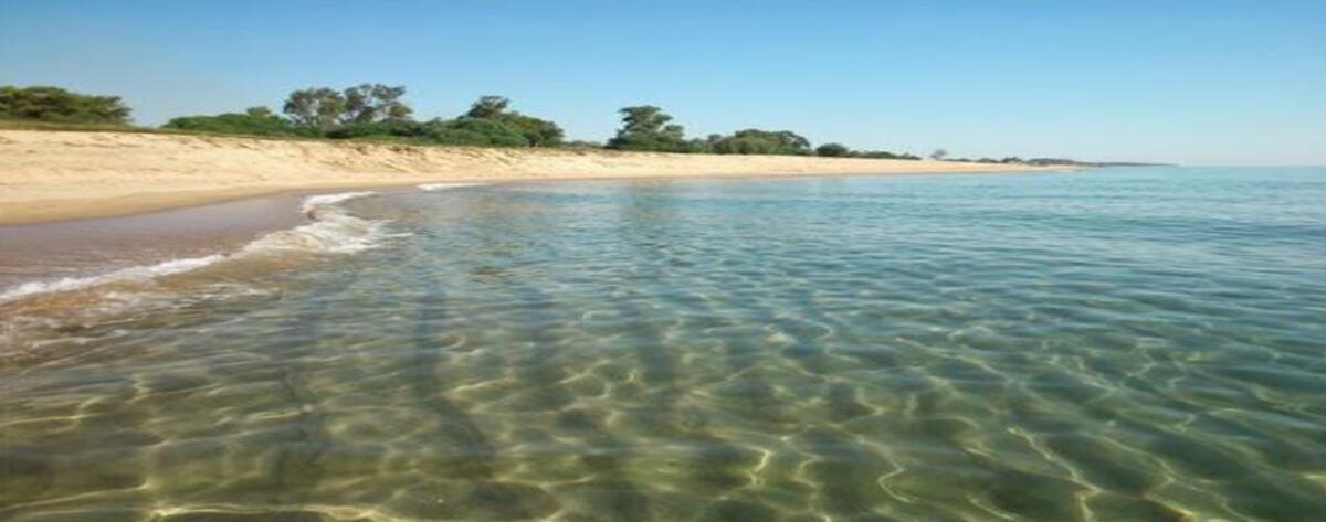 Percorso naturalistico in cerca della "grande migrazione" - 