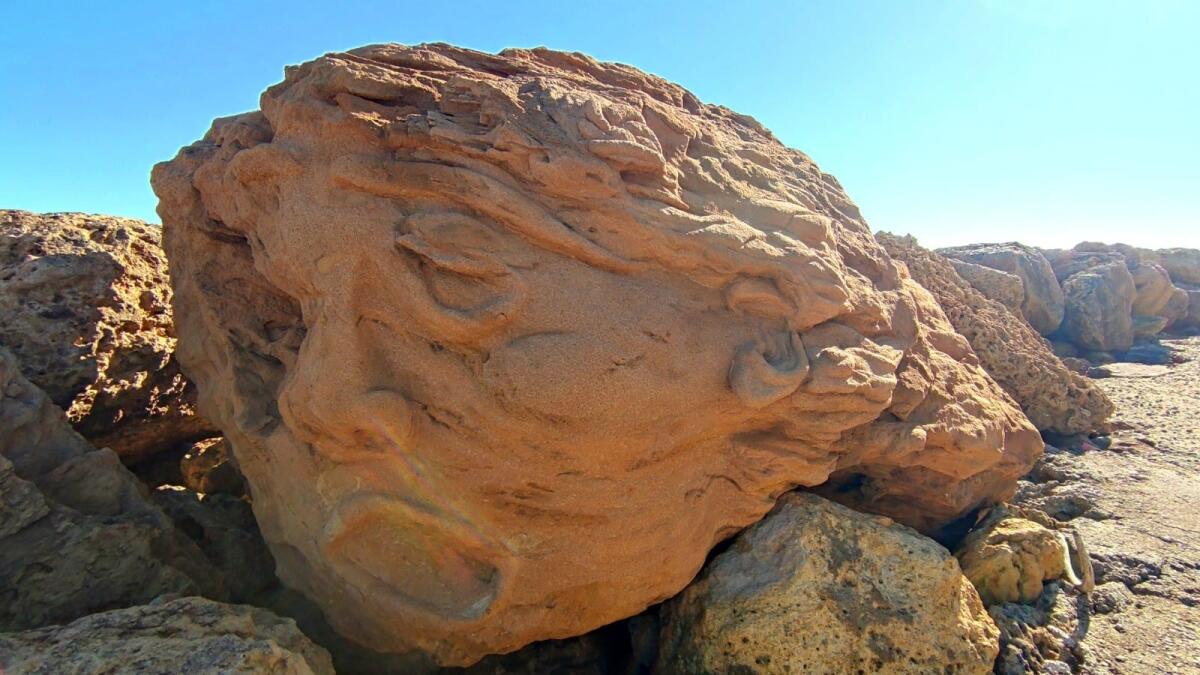 Le Cannella: due volti tra gli scogli, la natura prende vita con l'arte - 